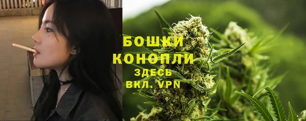 спайс Богородицк