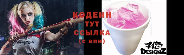 гашик Богданович