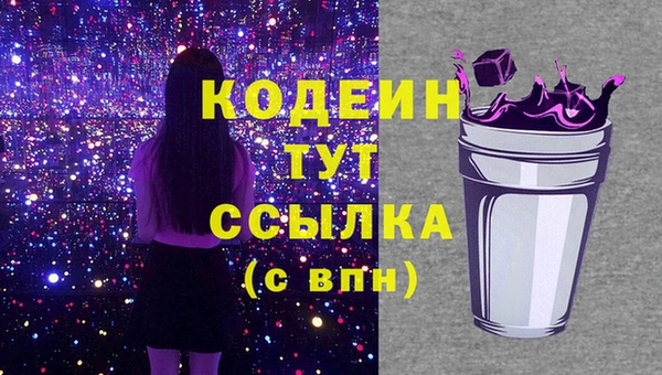 гашик Богданович