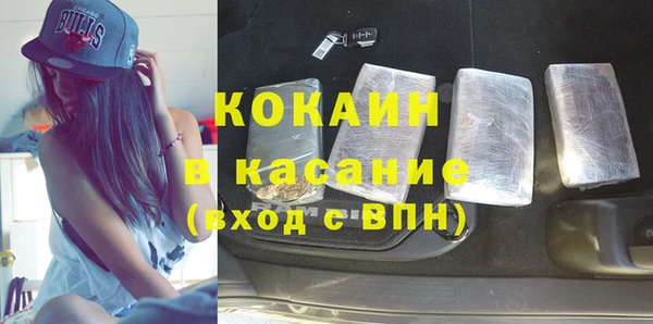 гашик Богданович