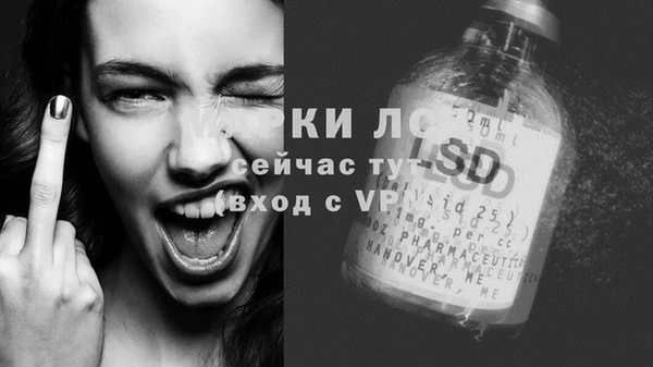 гашик Богданович