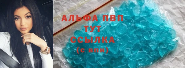 гашик Богданович