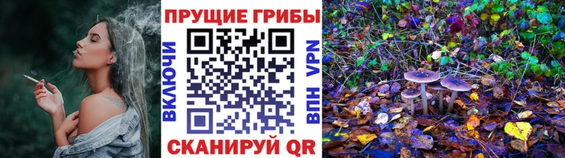Псилоцибиновые грибы Cubensis  Армавир 
